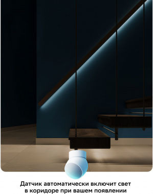 Датчик движ. Sber SBDV-00029