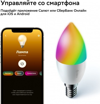 Комплект Sber  SBDV-00135