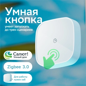 Умная кнопка Sber  SBDV-00032