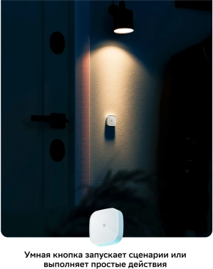 Умная кнопка Sber  SBDV-00032