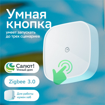Умная кнопка Sber  SBDV-00032