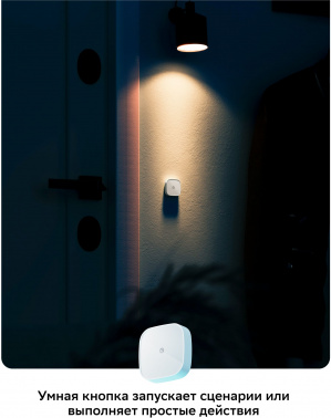 Умная кнопка Sber  SBDV-00032