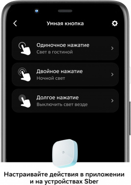 Умная кнопка Sber  SBDV-00032