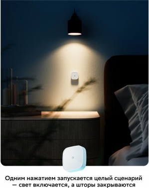 Умная кнопка Sber  SBDV-00032