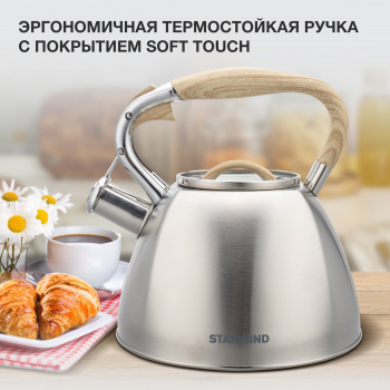 Чайник металлический Starwind Chef Daily