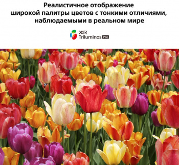 Телевизор LED Sony 75