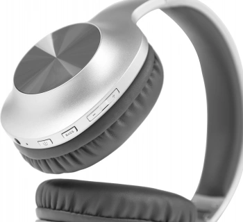 Наушники мониторные Panasonic RB-HX220BEES