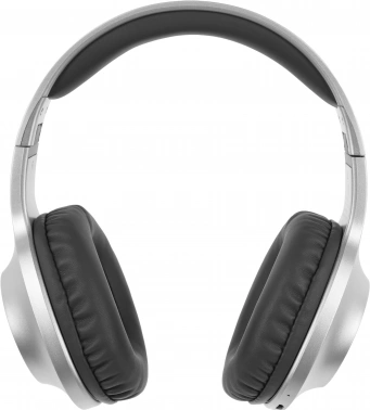 Наушники мониторные Panasonic RB-HX220BEES