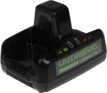 Зарядное устройство Greenworks  G82C2