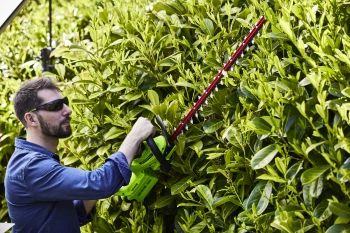 Кусторез Greenworks G40HT61а