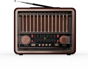 Радиоприемник портативный Ritmix RPR-089