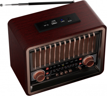 Радиоприемник портативный Ritmix RPR-089