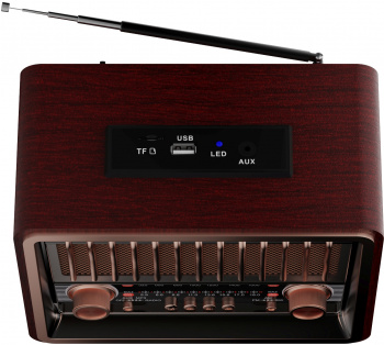 Радиоприемник портативный Ritmix RPR-089