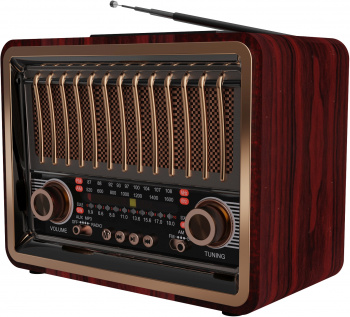 Радиоприемник портативный Ritmix RPR-089