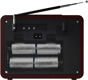 Радиоприемник портативный Ritmix RPR-089