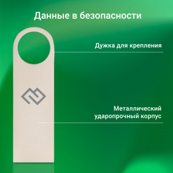 Флеш Диск Digma 256GB DRIVE3