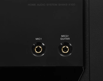 Минисистема Sony Shake-X10