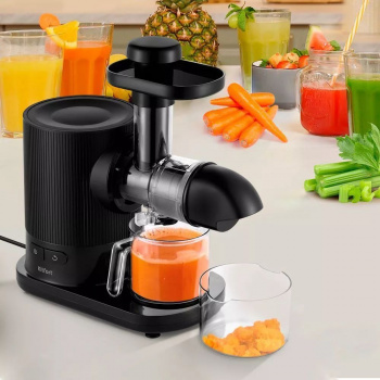 Соковыжималка шнековая Kitfort КТ-1139