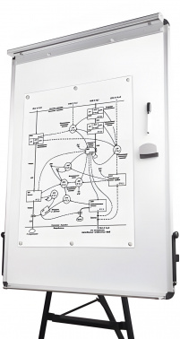 Флипчарт Brauberg Standard 231720