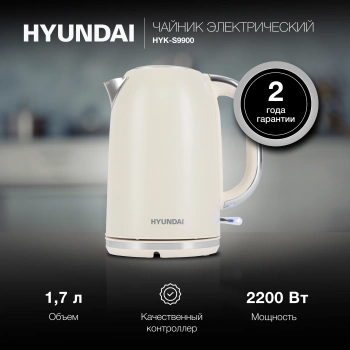 Чайник электрический Hyundai HYK-S9900