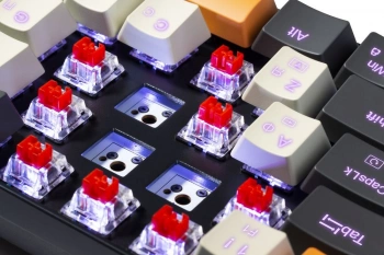 Клавиатура Redragon Caraxes Pro