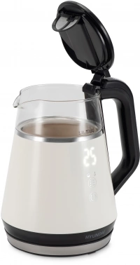 Чайник электрический Hyundai HYK-G3013