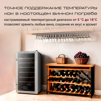 Винный шкаф Tesler CWC-283