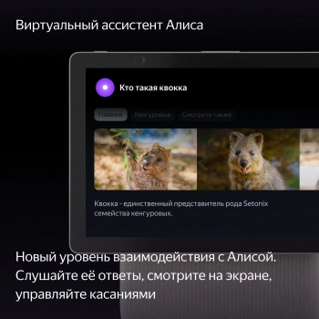 Умная колонка Yandex Станция Дуо Макс Zigbee