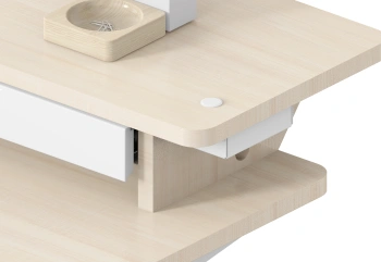 Стол для компьютера Cactus  CS-EDL-DWT