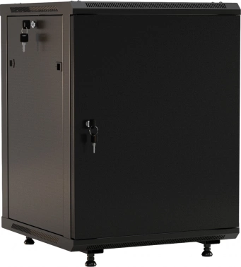 Шкаф коммутационный Hyperline (TWB-FC-1266-SR-RAL9004) настенный 12U 600x600мм пер.дв.металл задн.дв.спл.стал.лист 2 бок.пан. направл.под винты 60кг черный 520мм 180град. 650мм IP20 сталь