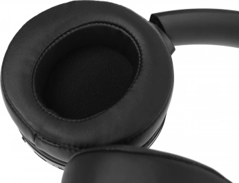 Гарнитура мониторные Panasonic RB-M300BGE-K