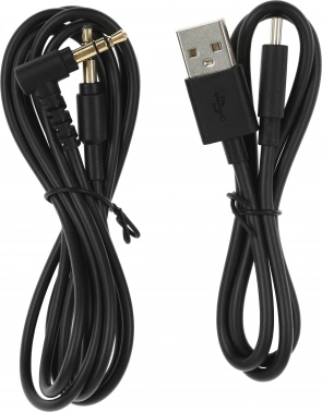 Гарнитура мониторные Panasonic RB-M300BGE-K