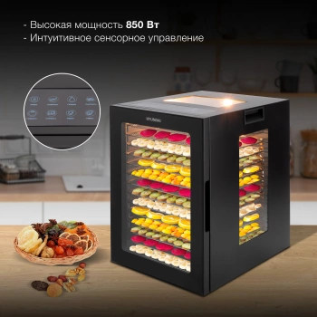 Сушка для фруктов и овощей Hyundai HYFD-8803