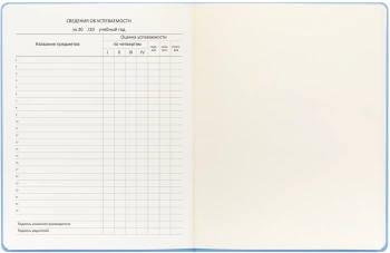 Дневник школьный Deli CN150-YELL желтый 48л. универсальный обл.тверд. мел.карт.