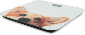 Весы напольные электронные Hyundai H-BS03671