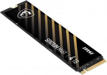 Накопитель SSD MSI PCIe 4.0 x4 4TB S78-440R030-P83 M461