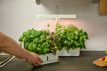 Гидропонная установка Cactus Garden 3л 20Вт белый (CS-LEDPOT-08)