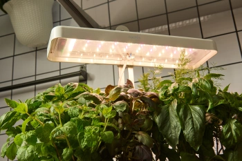 Гидропонная установка Cactus Garden 3л 20Вт белый (CS-LEDPOT-08)