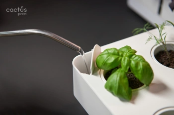 Гидропонная установка Cactus Garden 3л 20Вт белый (CS-LEDPOT-08)