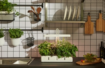 Гидропонная установка Cactus Garden 3л 20Вт белый (CS-LEDPOT-08)