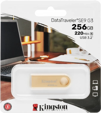 Флеш Диск Kingston 256GB DataTraveler SE9