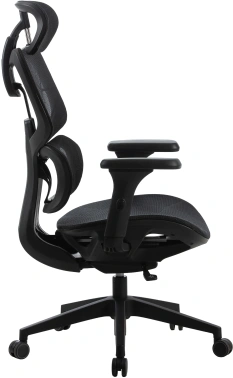 Кресло Cactus  CS-MC555-BK