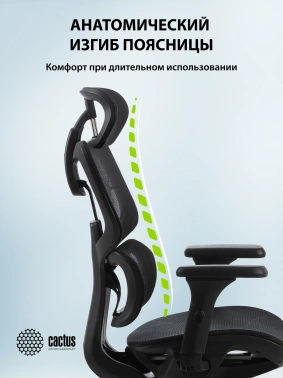 Кресло Cactus  CS-MC555-BK