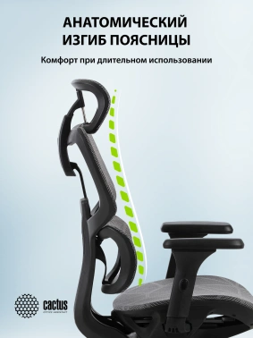 Кресло Cactus  CS-MC555-GY