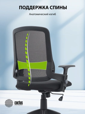 Кресло Cactus  CS-MC313-BK