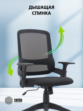 Кресло Cactus  CS-MC313-BK