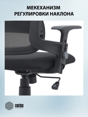 Кресло Cactus  CS-MC313-BK