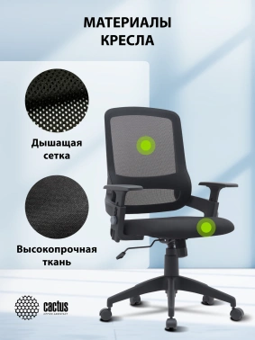 Кресло Cactus  CS-MC313-BK