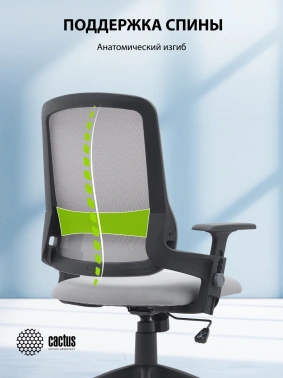 Кресло Cactus  CS-MC313-BKGY