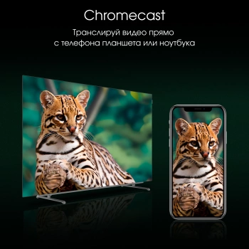 Телевизор OLED Digma Pro 65